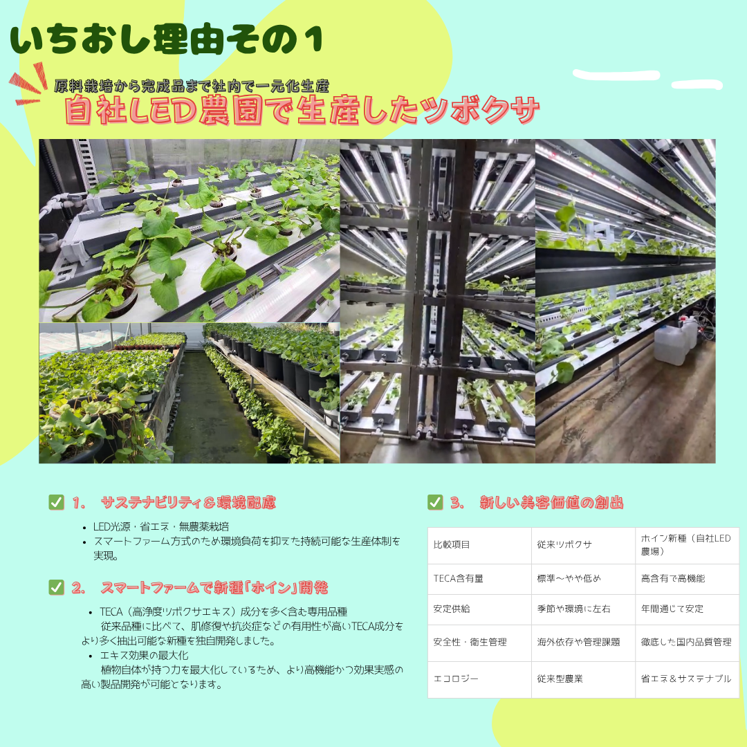 LuciDor CELLTECA SUNCREAM　SPF50+ PA++++ 日焼け止め 50ml