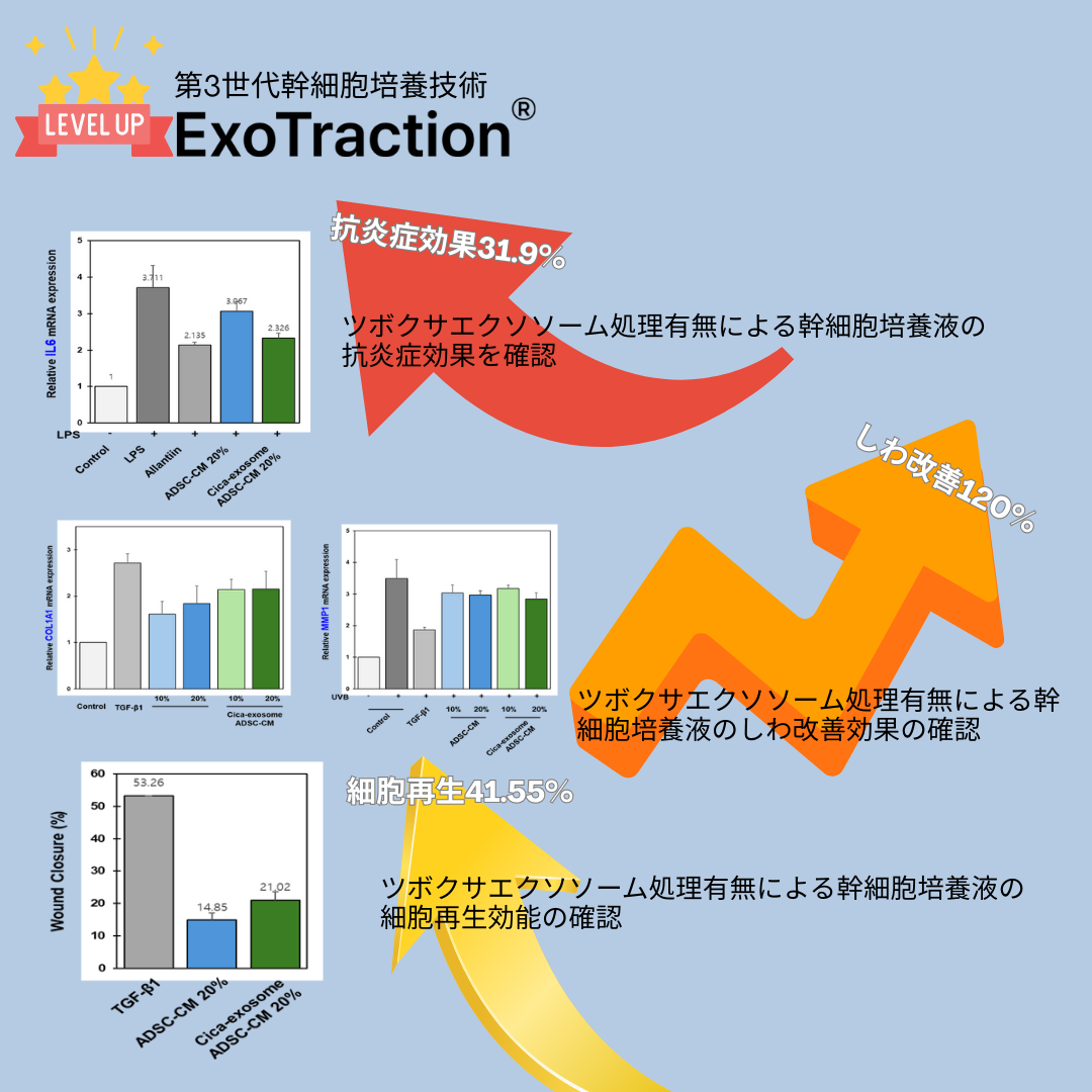 LUMIDOR REJUV SHAMPOO 500ml