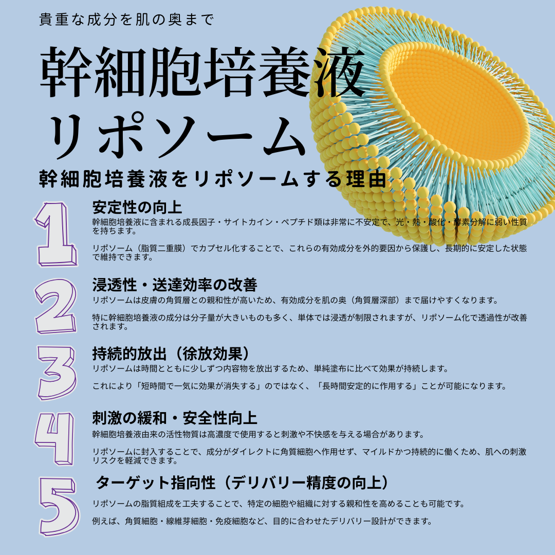 LUMIDOR REJUV TREATMENT 500ml