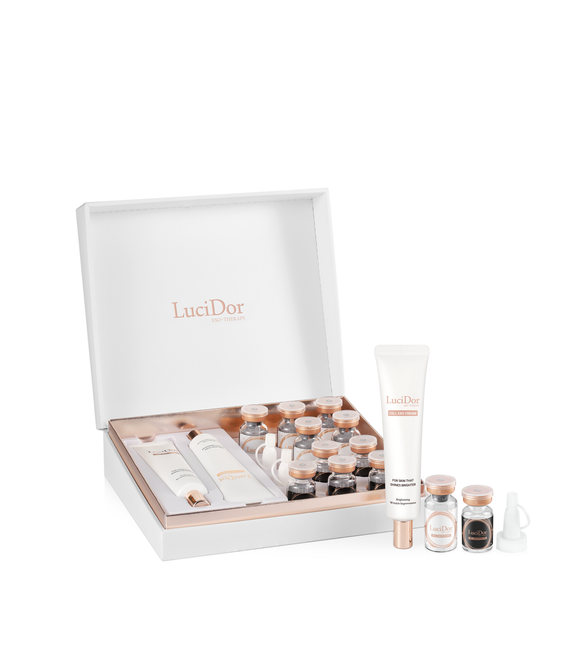 LuciDor Exo-kit – 株式会社EXOSOME