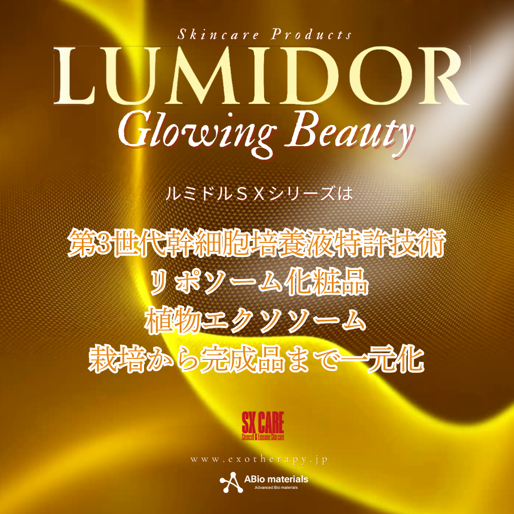 [LUMIDOR] SX SOLUTION AMPOULE 6ml×12本