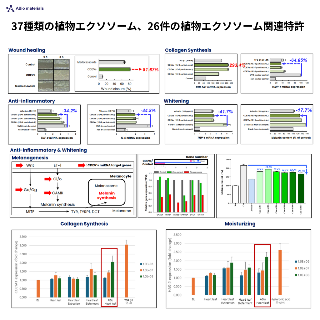 [LUMIDOR] SX SOLUTION AMPOULE 6ml×12本
