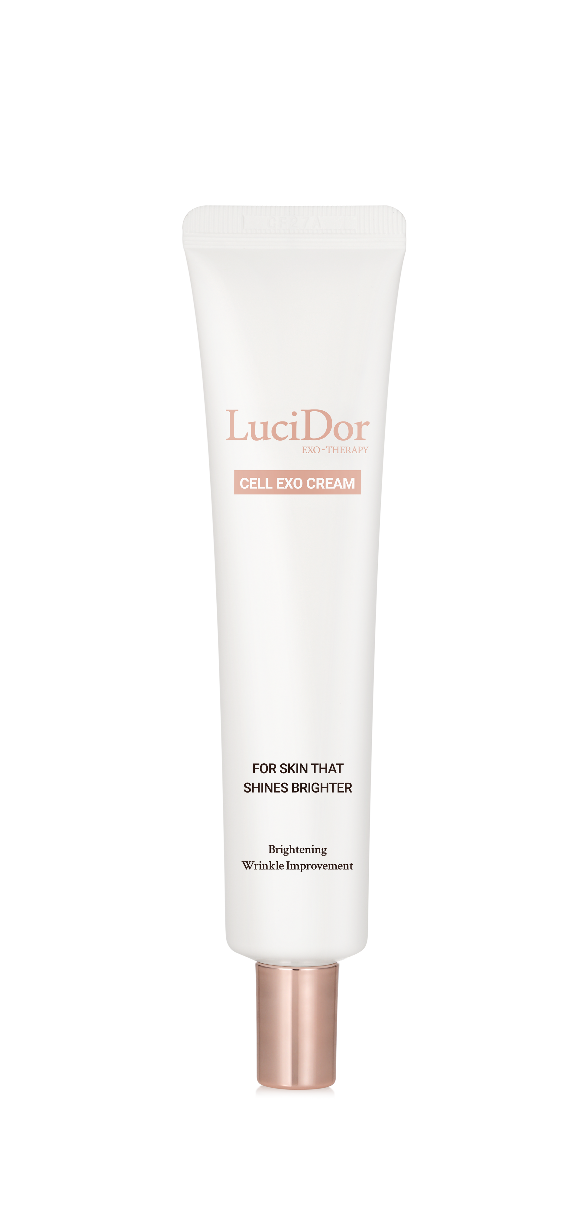 LuciDor Exo-kit – 株式会社EXOSOME LuciDor Exo-kit – 株式会社EXOSOME