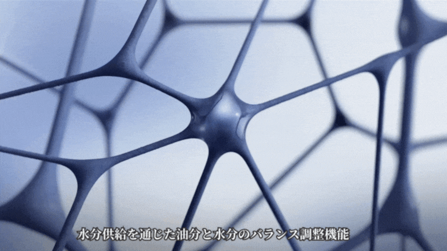[EMMA Blog 特別企画]  LuciDor Exo-kit
