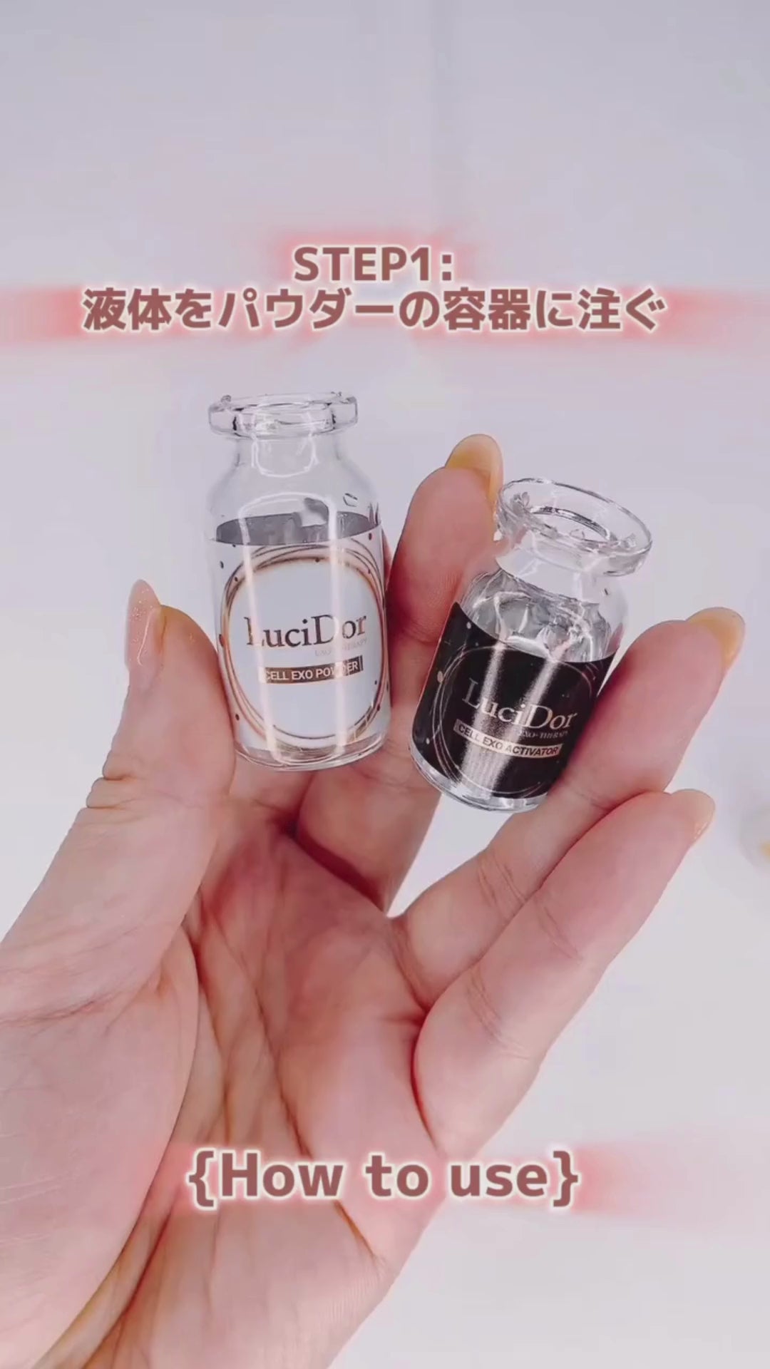 EXOMERE スキンケア 6点セット EXOMERE スキンケア 6点セット